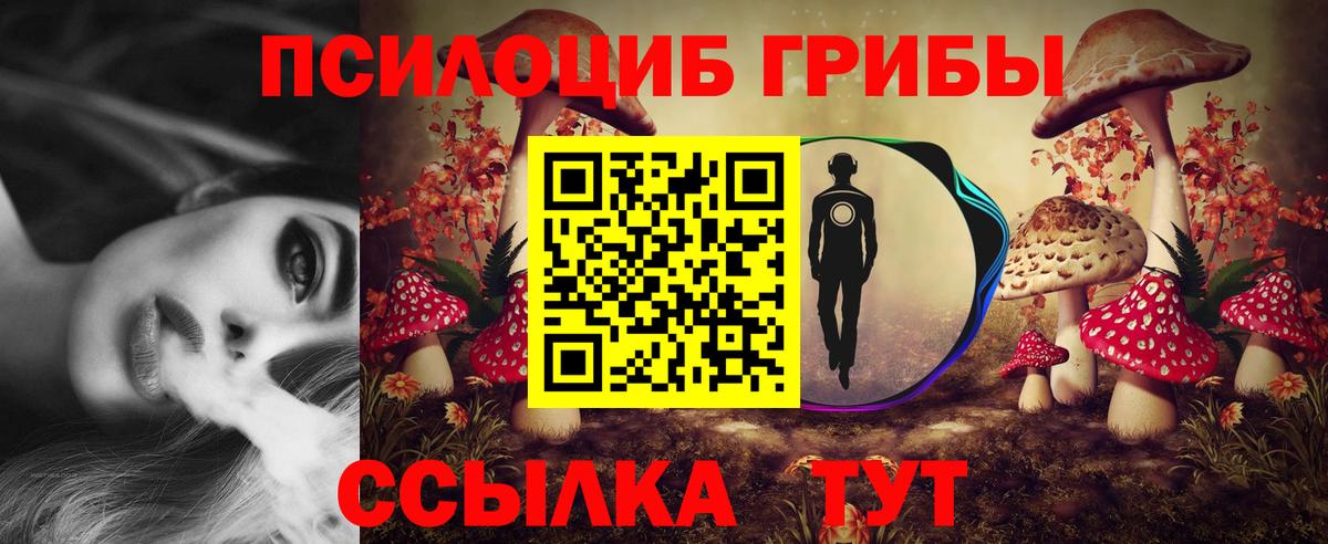 Псилоцибиновые грибы ЛСД Каменка