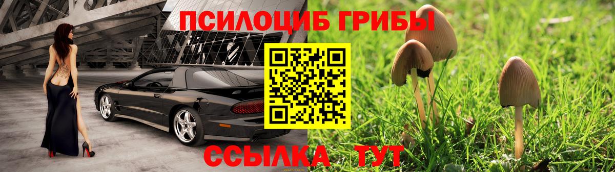 Галлюциногенные грибы мухоморы  Вход с VPN  Галлюциногенные грибы Magic Shrooms  Каменка 