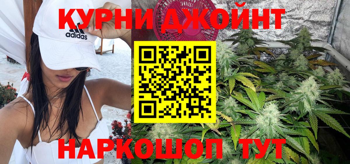Шишки марихуана OG Kush Каменка